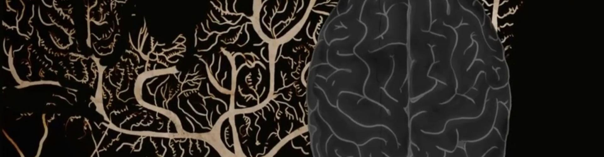 Brain sketch neurons