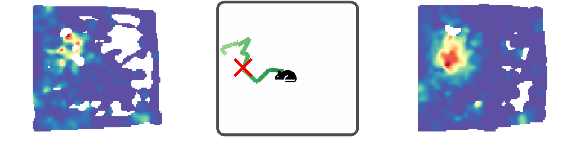 An example hippocampal neuron that obtains a new place response after first firing in replay.