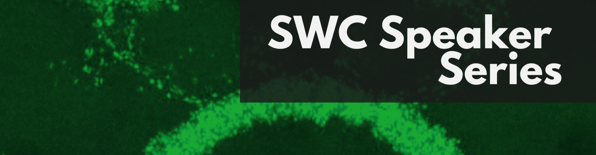 SWC Speaker Series graphic with fruit fly neurons labelled in green