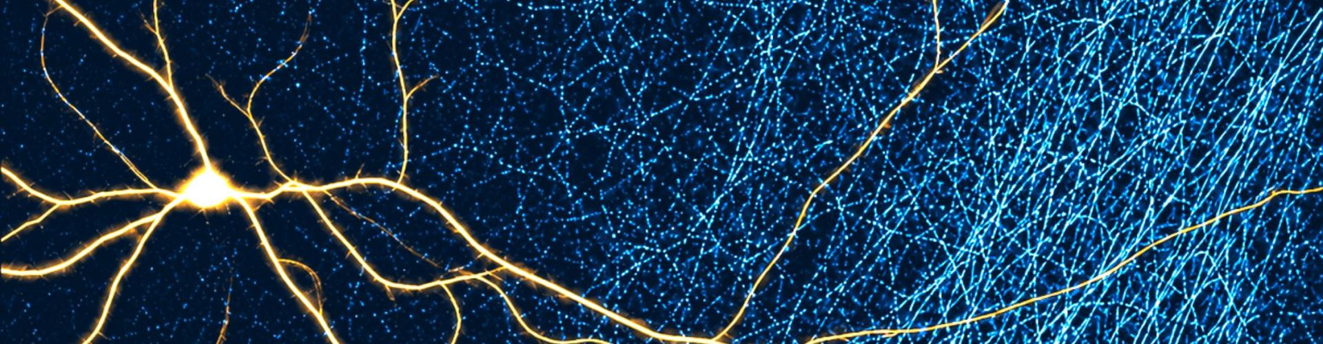 Image showing a dPAG neuron (gold) and surrounding input axonal fibres (cyan), reconstructed from original microscopy data