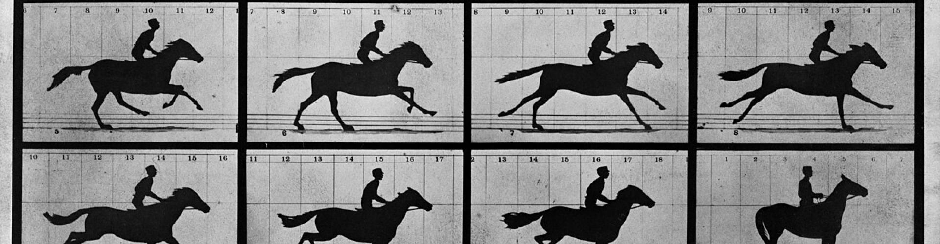 The Horse in Motion by Eadweard Muybridge. Noted photographer, Eadweard Muybridge was hired, in 1872, by Leland Stanford a railroad baron and future university founder, to find out if there was moment mid-stride where horses had all hooves off the ground. It took several years but Muybridge delivered having captured a horse, named "Sallie Gardner," owned by Stanford; running at a 1:40 gait over the Palo Alto track, on 19th June 1878. Muybridge used a Eadweard Muybridge, Public domain, via Wikimedia Commons