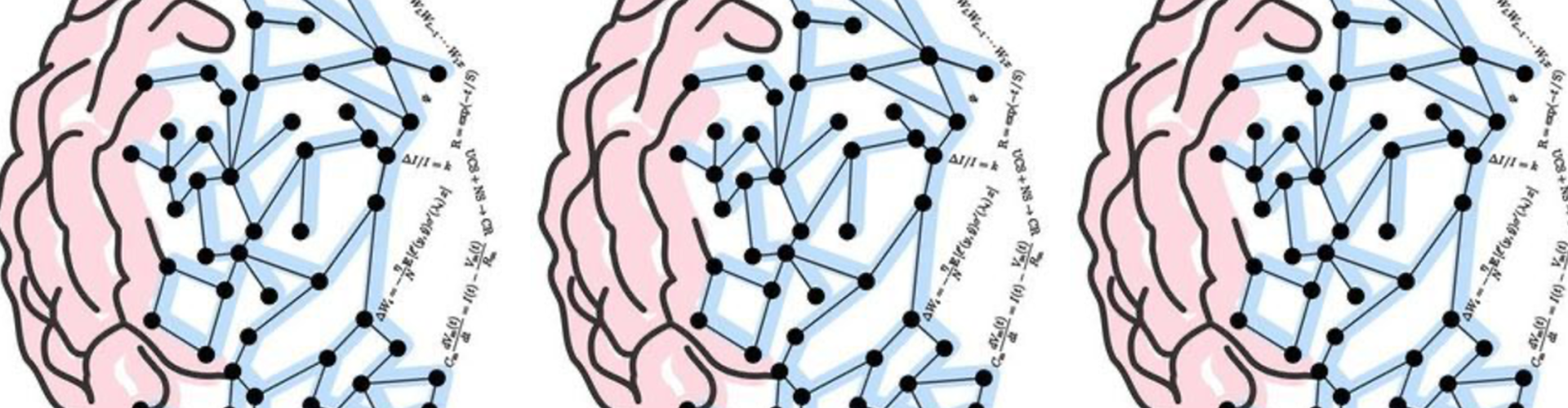 Simple graphic of brains, networks and equations