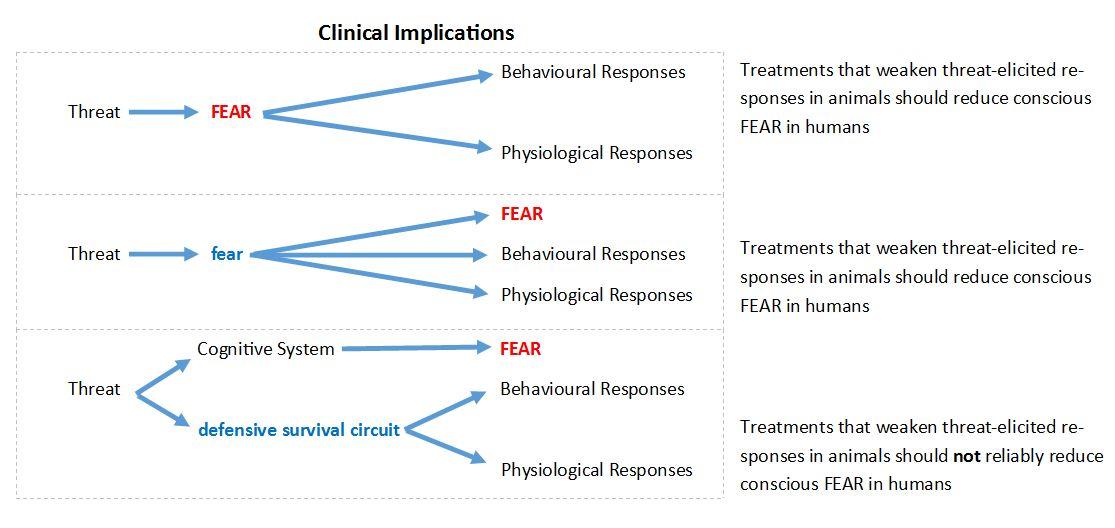 Clinical implications of LeDoux's work