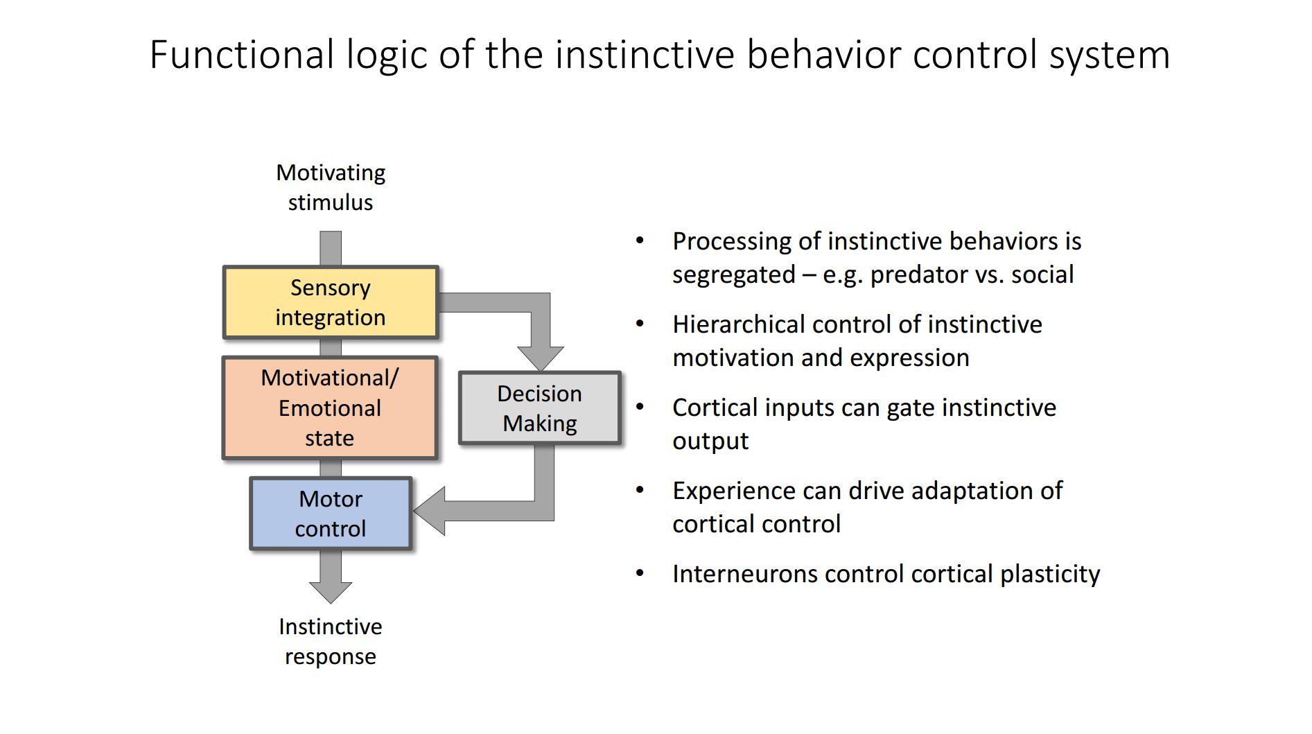 Functional logic of the instinctive behaviour control systems