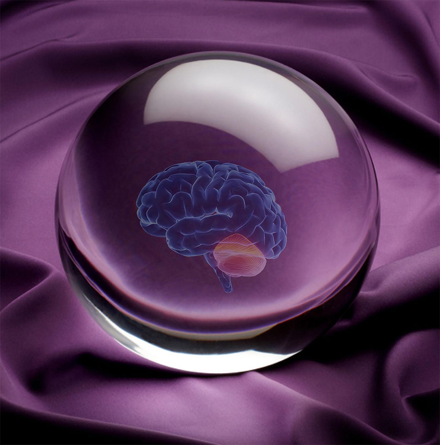 Cerebellum crystal ball