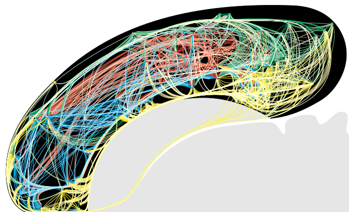 Larry Swanson research image