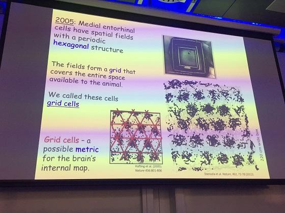 Slide showing grid cells - Edvard Moser