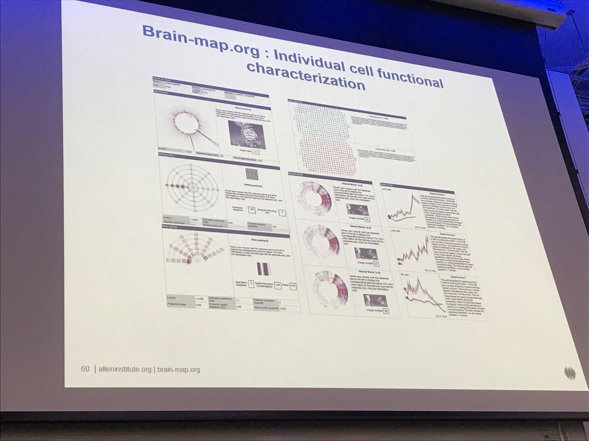Brain-map.org: Individual cell functional characterisation, from Jerome Lecoq's SWC seminar