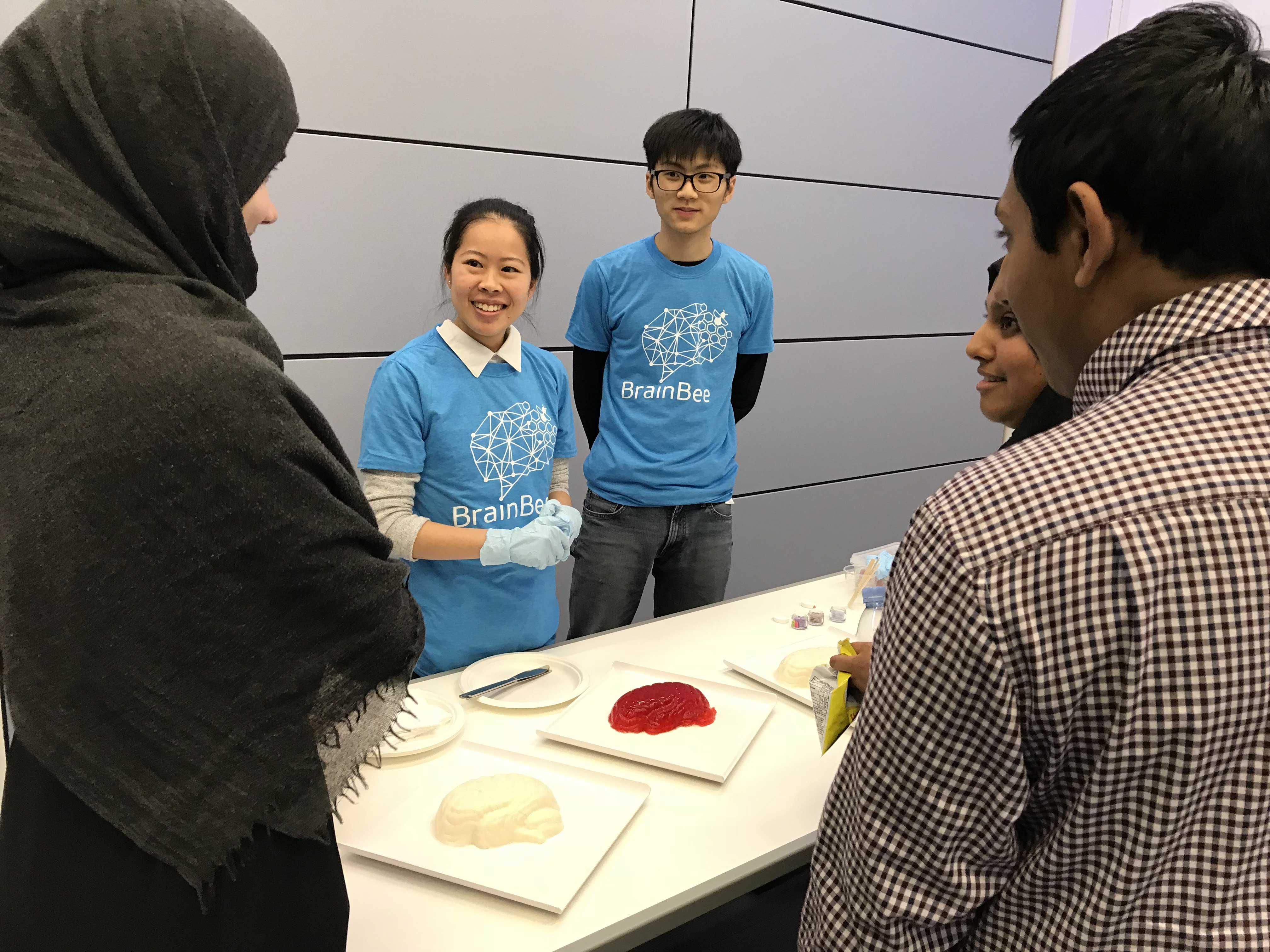 Jelly brain dissection