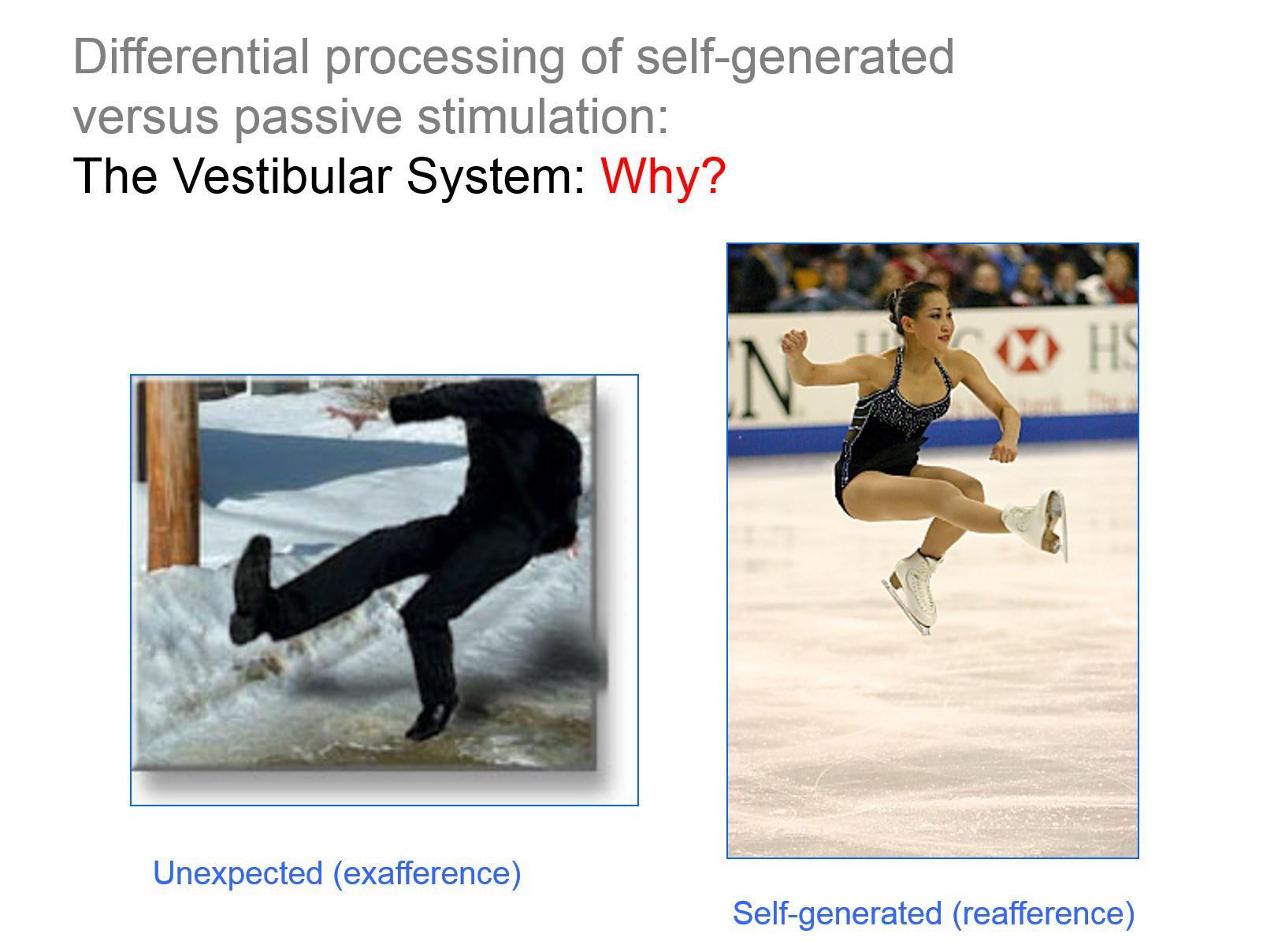 Self-generated versus passive stimulation