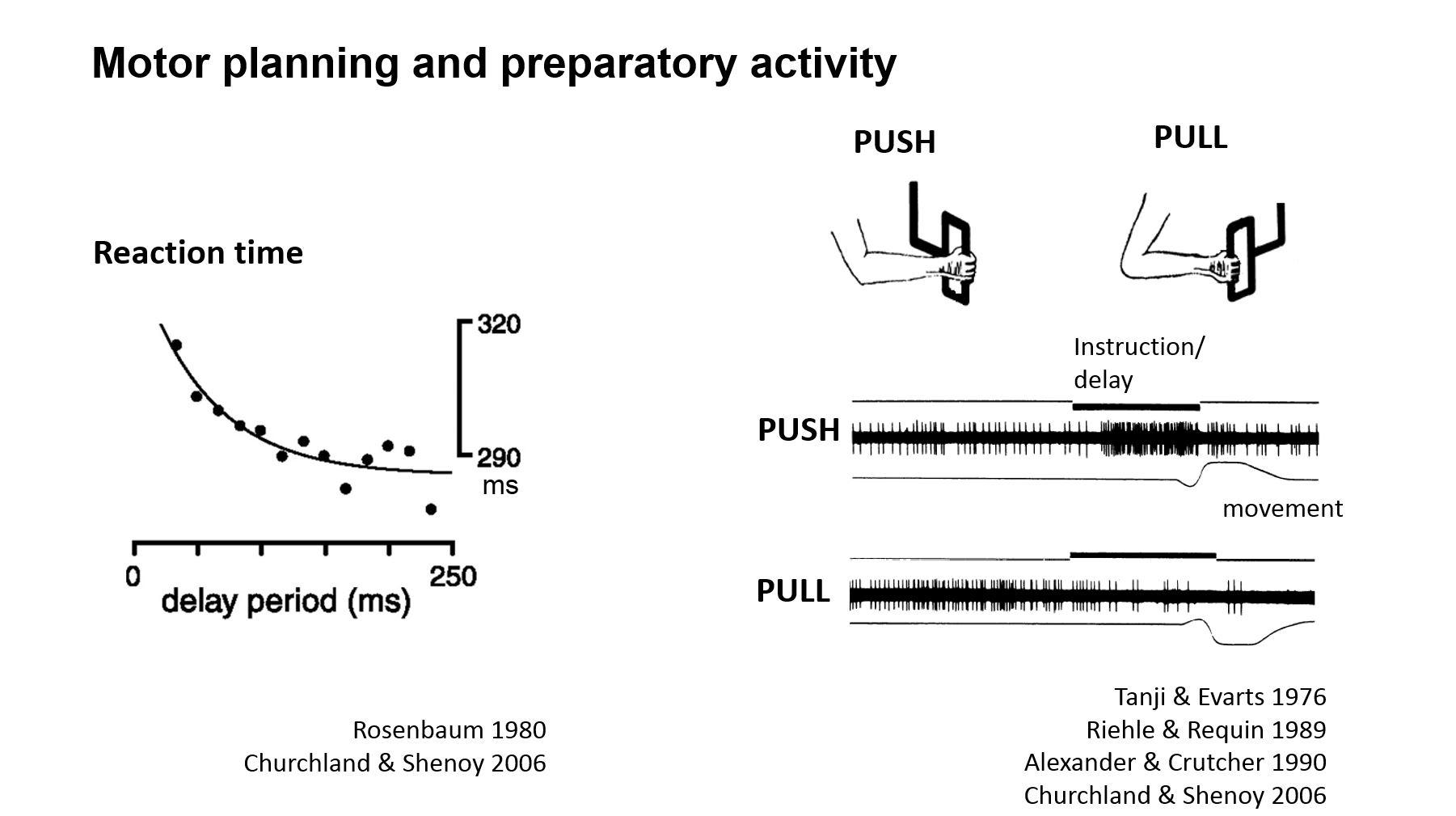 Motor planning and preparatory activity figure