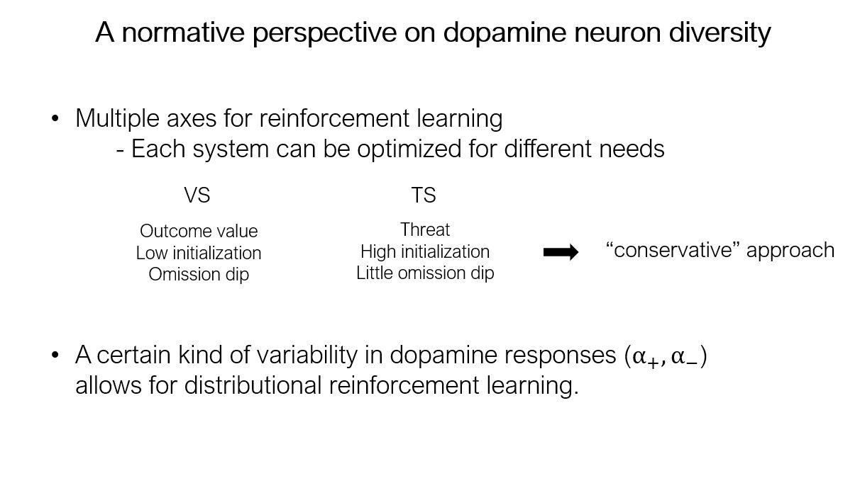 Normative perspective on dopamine neuron diversity