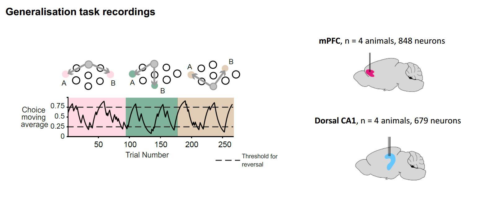 Generalisation task in mice recordings