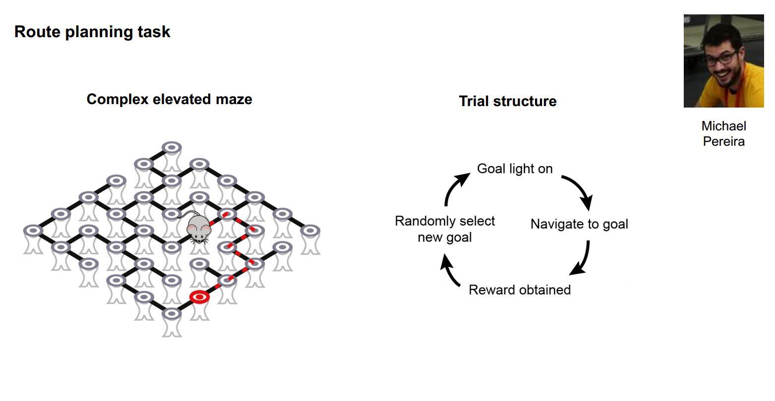 Route planning task maze