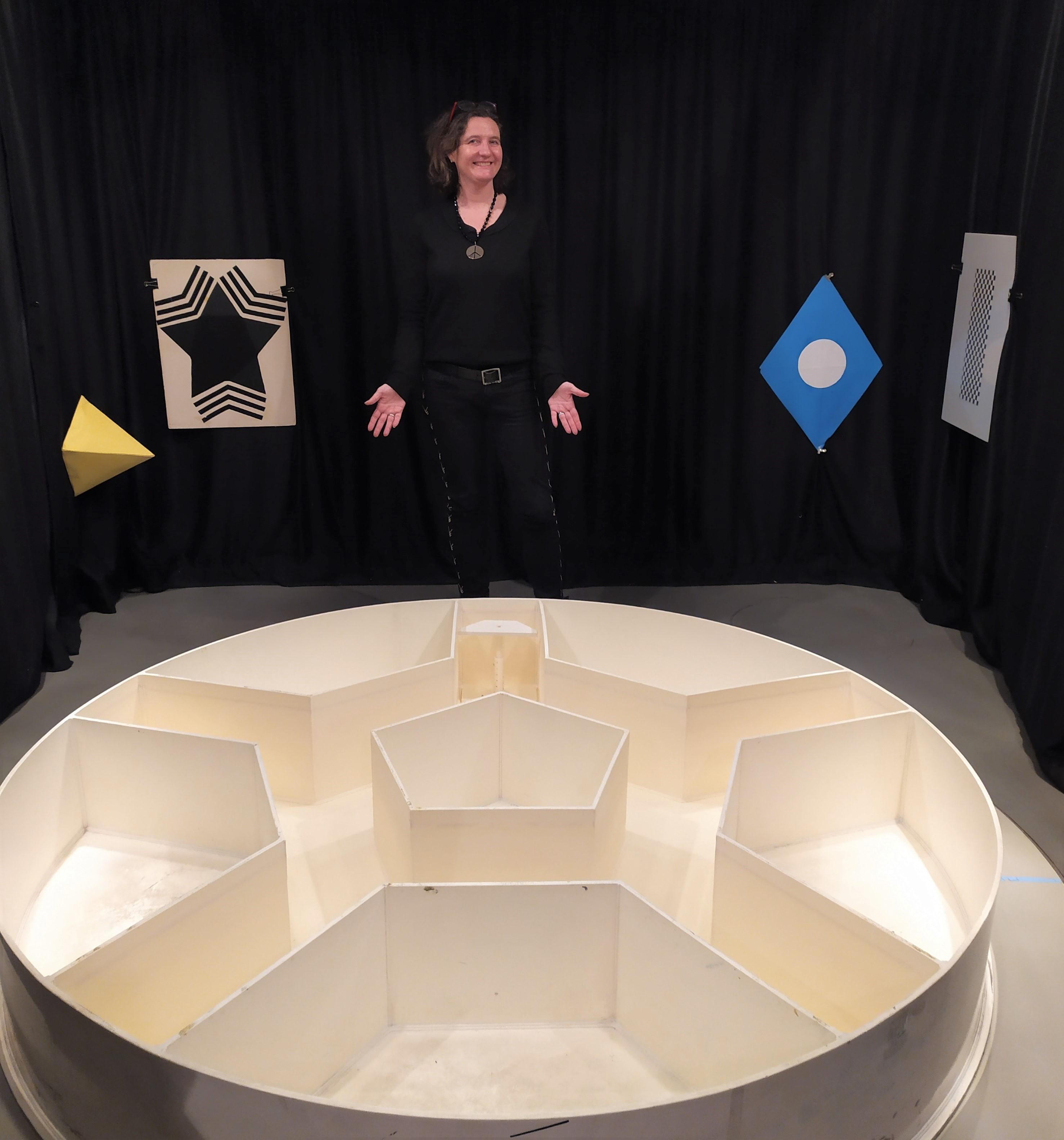 Laure Rondi-Reig maze