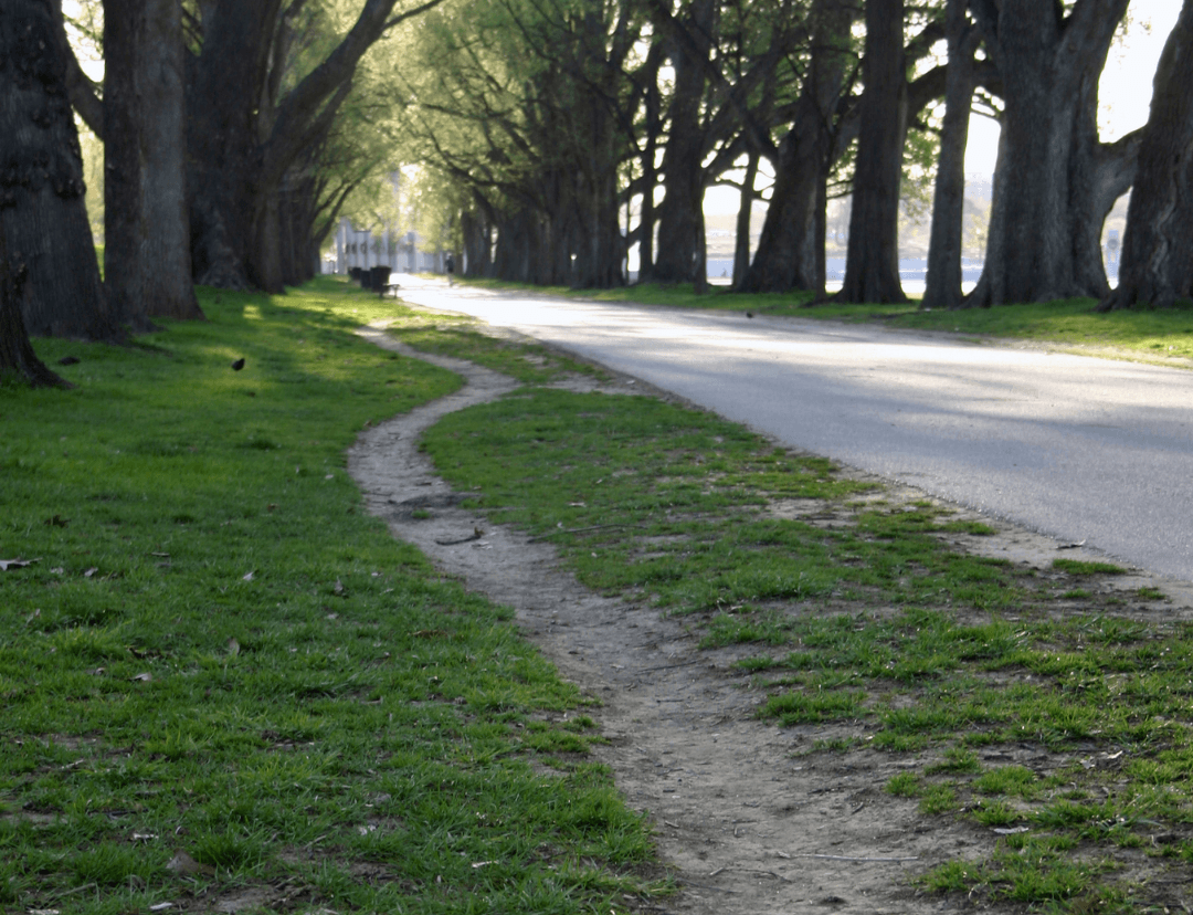 Park showing two paths, one created by designers and the other created from people spontaneously walking that route