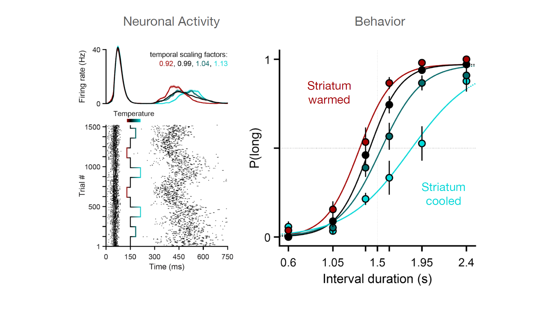 Using temperature to analyse the neural mechanisms of a latent temporal decision