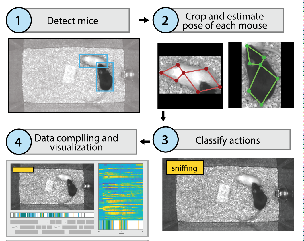 MARS computational pipeline for analysing animal behaviour