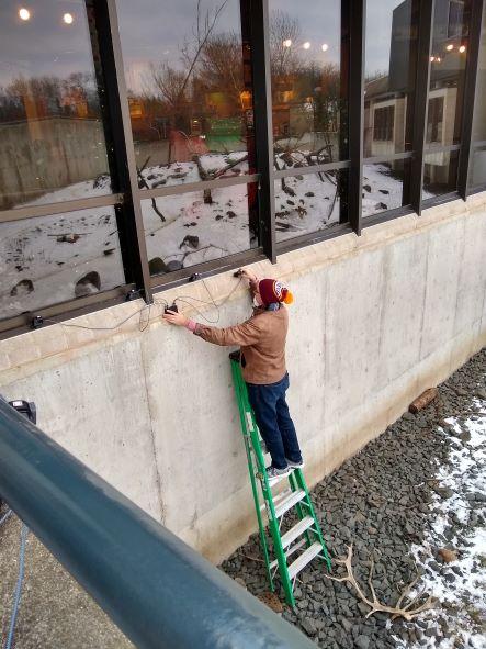 A picture of Dr Hayden setting up cameras at the Minnesota Zoo to monitor the 27 snow monkeys there