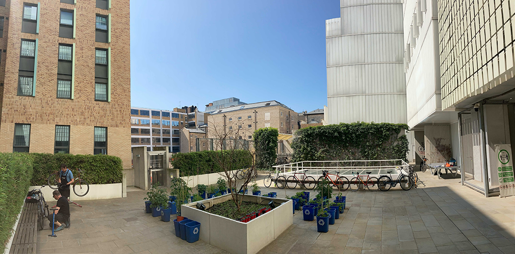 SWC courtyard during Dr Bike Session