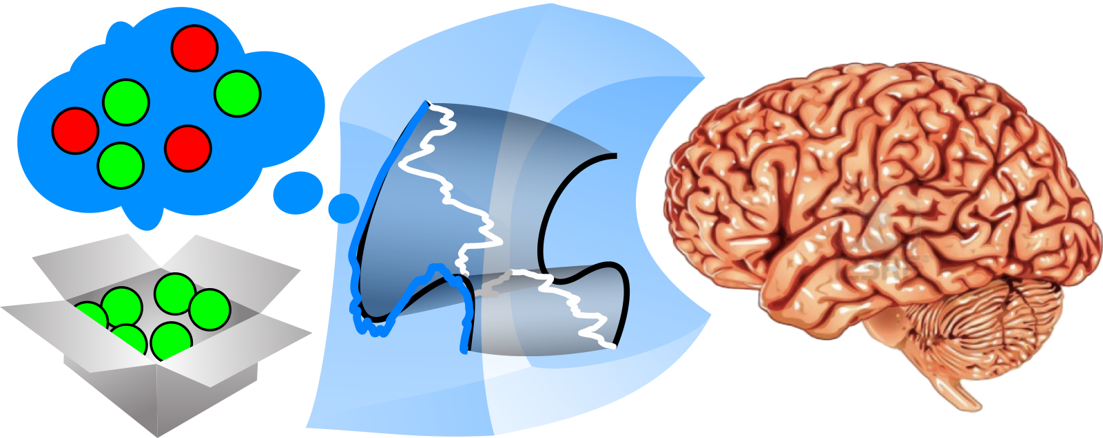 Schematic describing Inverse Rational Control
