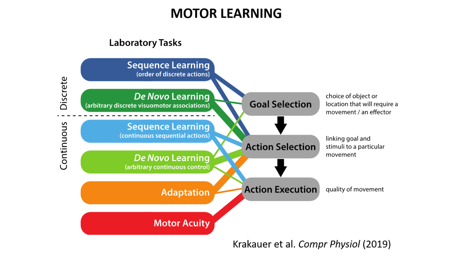 John Krakauer research image 2
