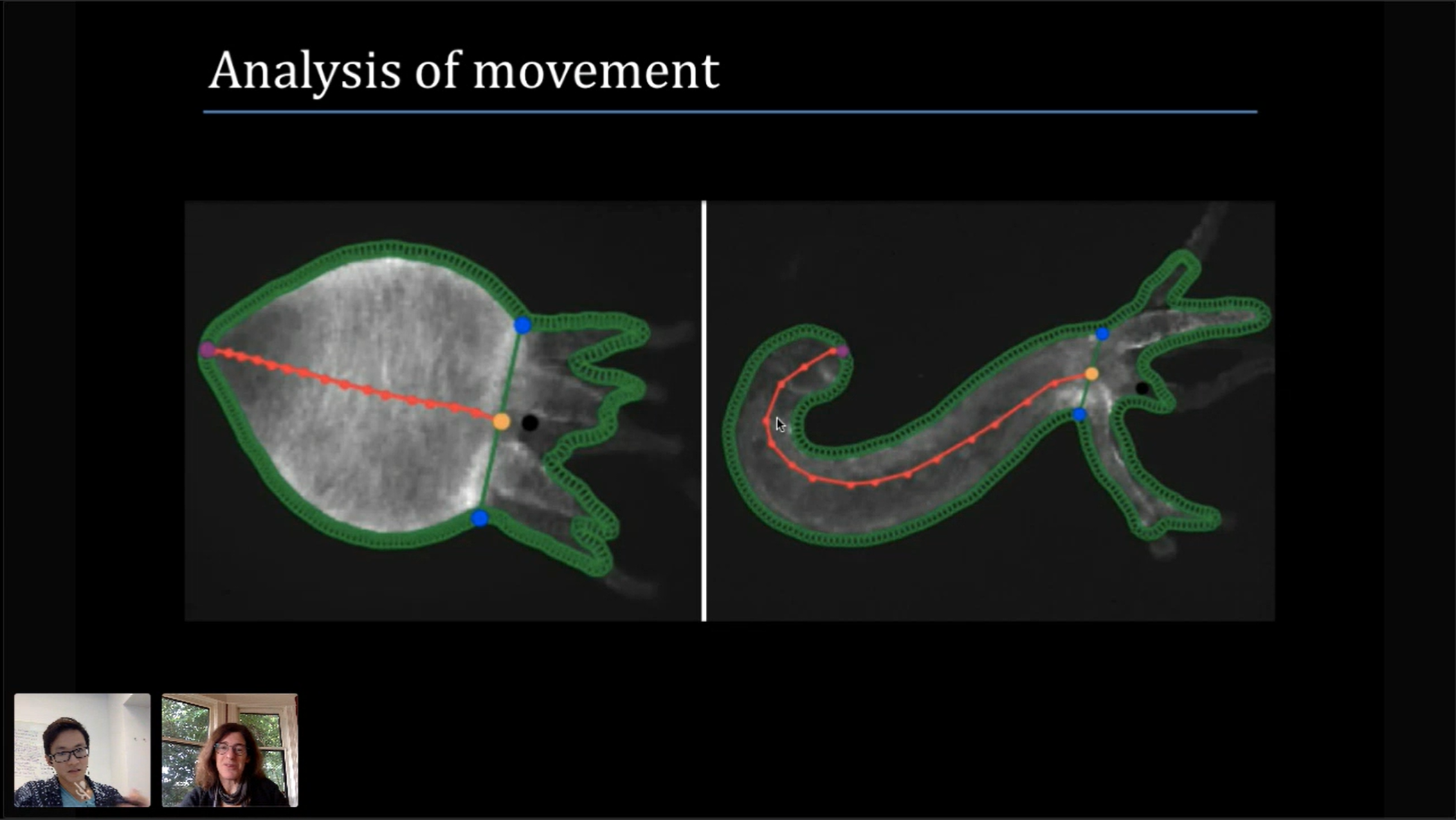 Student symposium screenshot Liang Adrienne