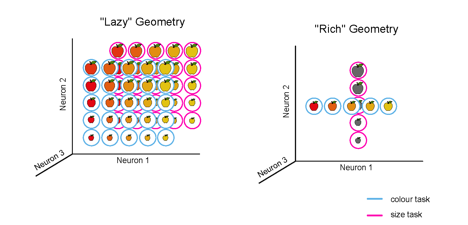 Flesch et al research image 2
