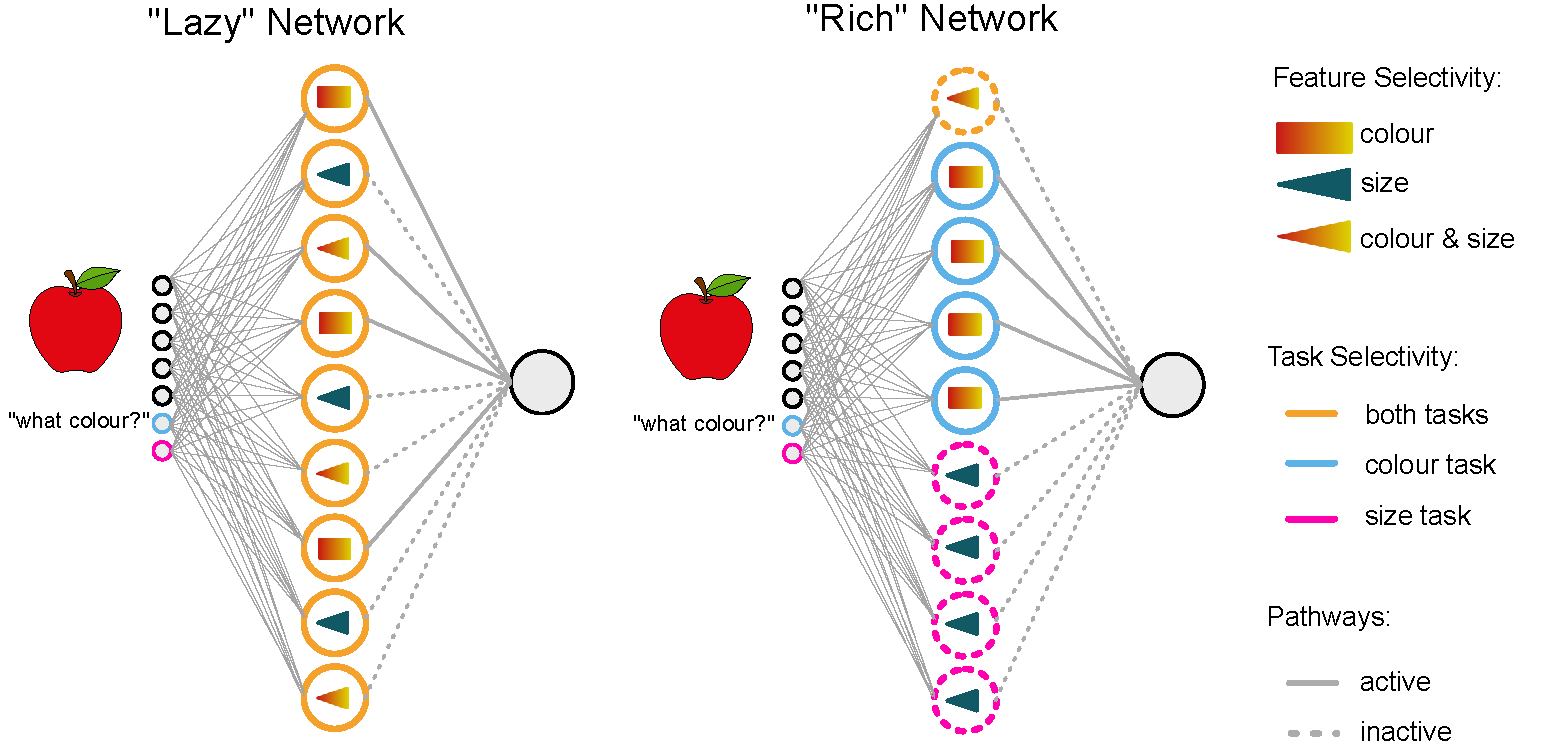 Flesch et al research image 1
