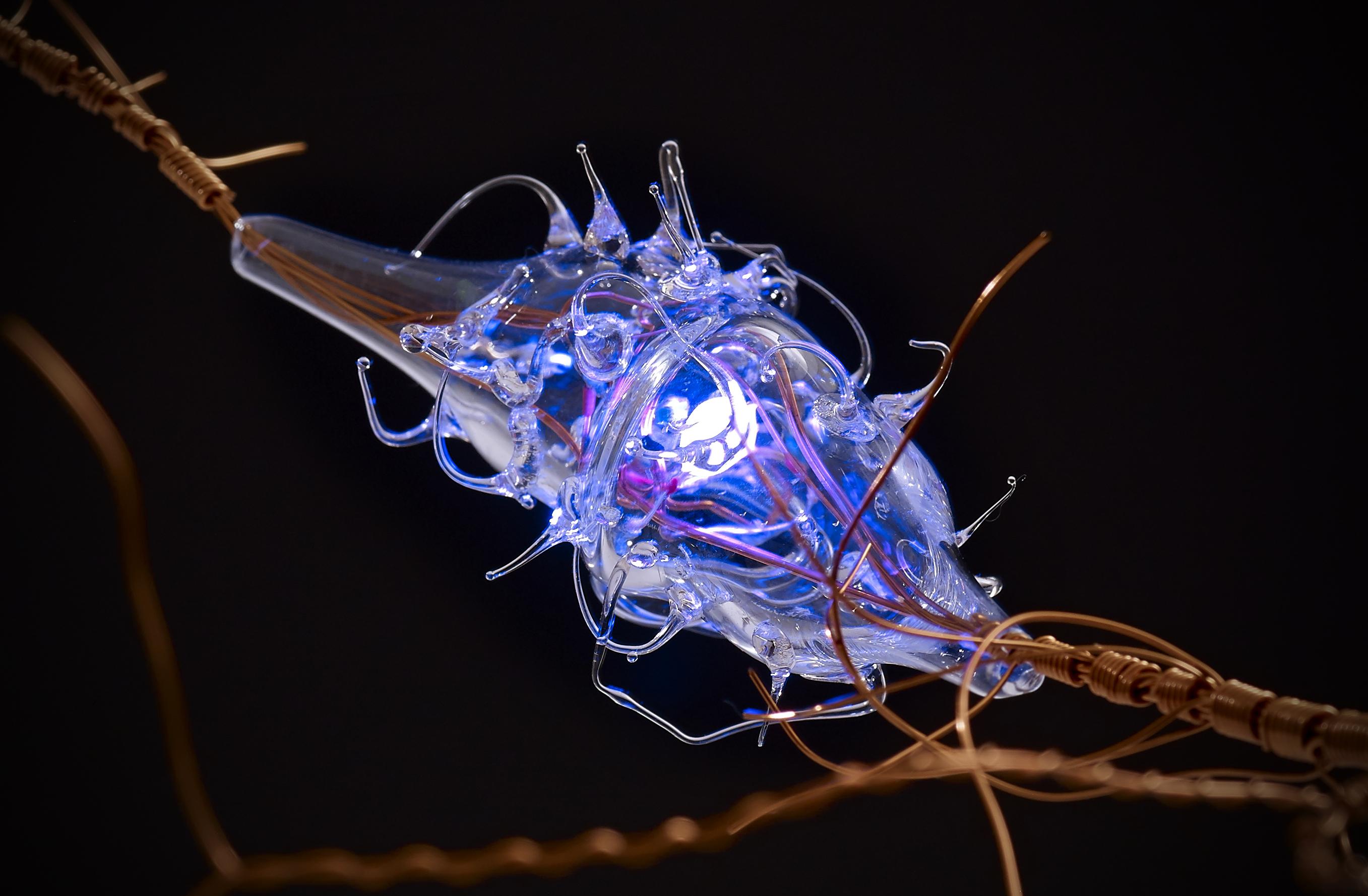 Line of Sight neuron detail