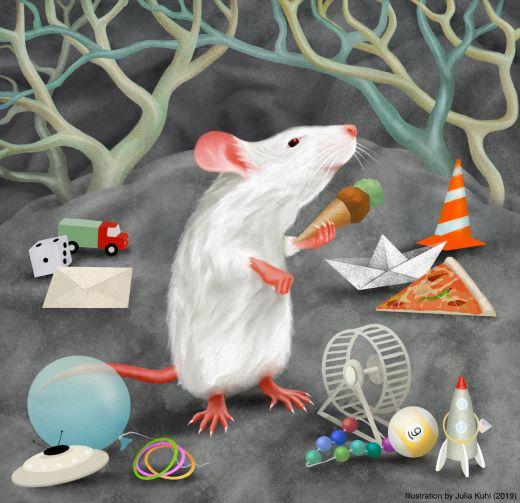 A mouse categorizing objects based on their perceptual features (illustration by Julia Kuhl, 2019)