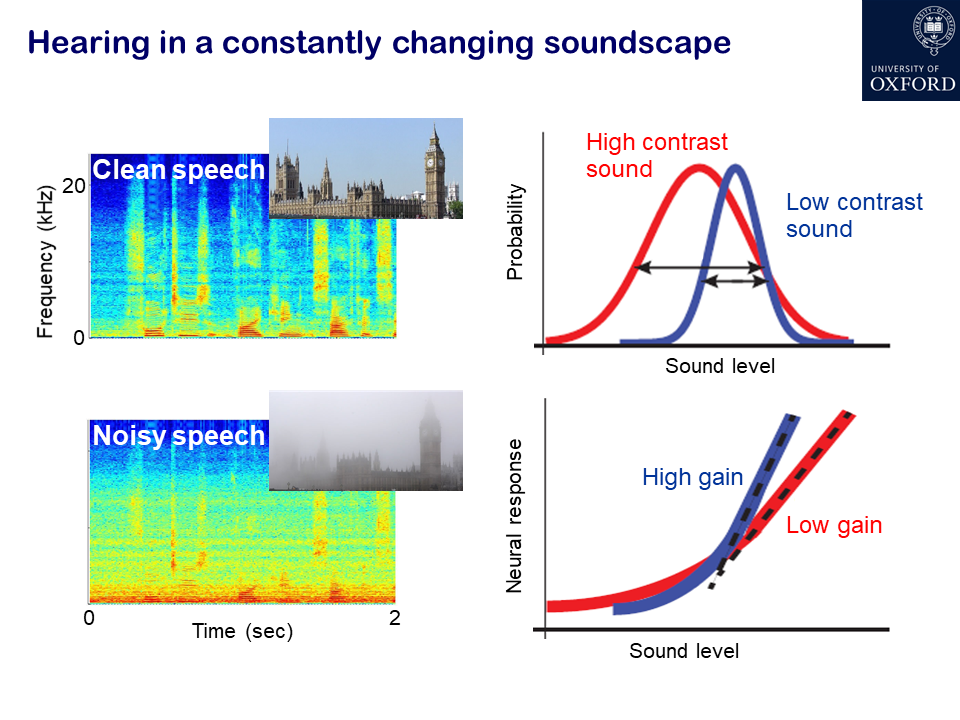 Andrew King research image 2