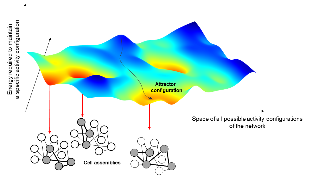 Eleonora Russo Research Image 1