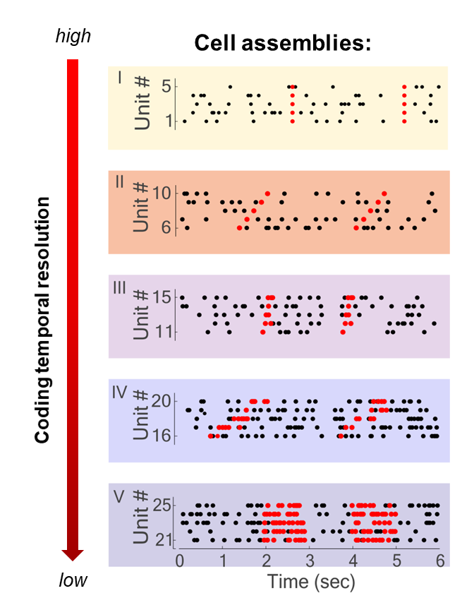 Eleonora Russo Research Image 3