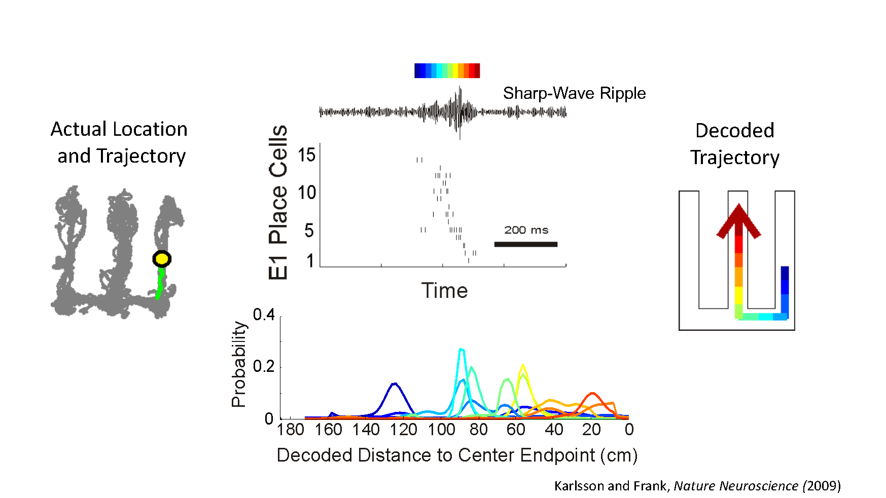 Loren Frank research image 2 NEW