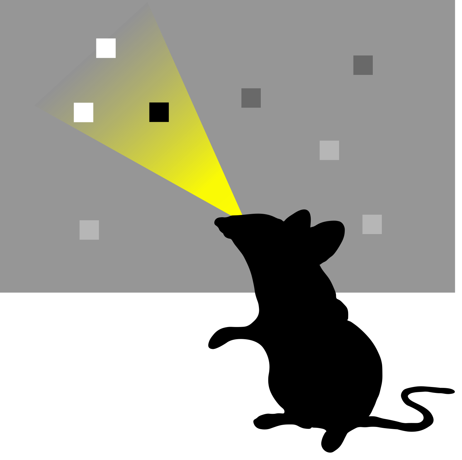 Kanamori et al research image attention