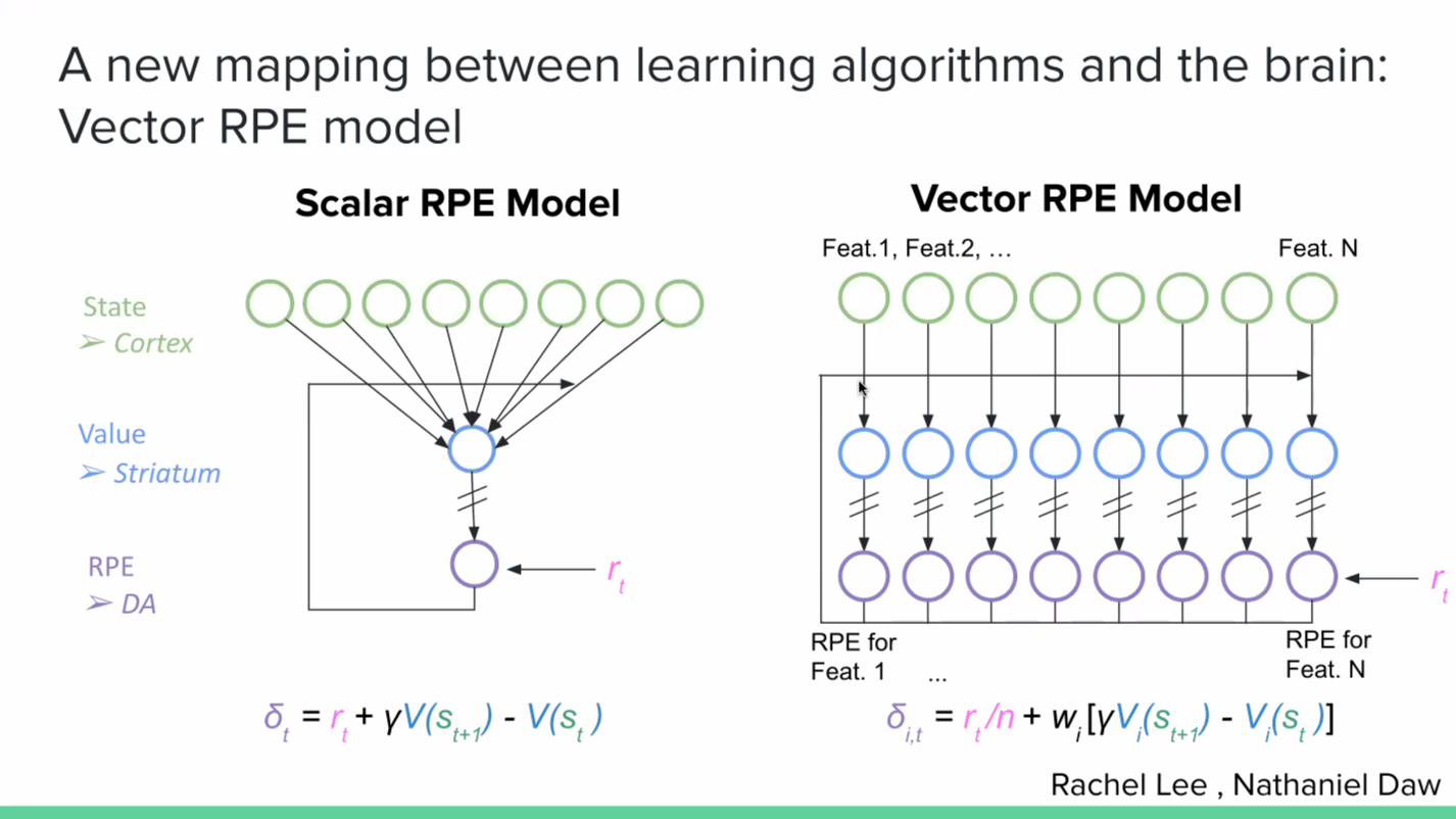 Ilana Witten Q&amp;A image 1