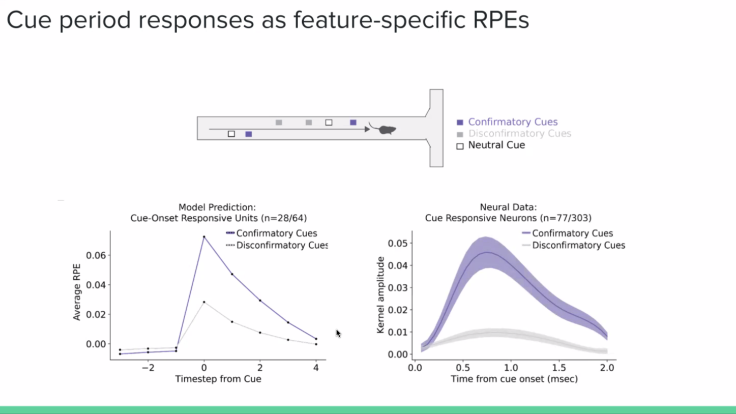 Ilana Witten Q&amp;A image 2