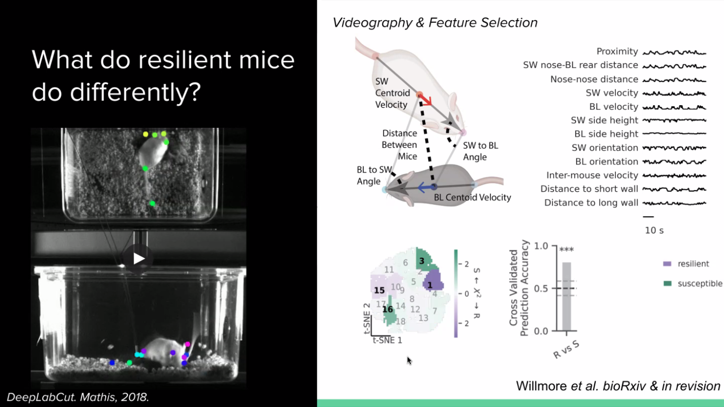 Ilana Witten Q&amp;A image 3
