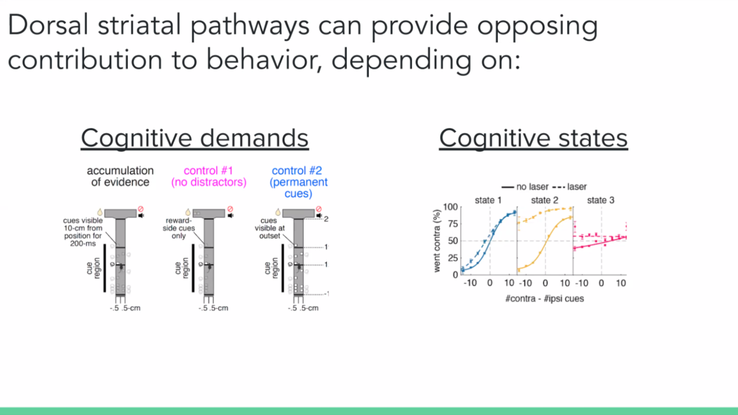 Ilana Witten Q&amp;A image 4 NEW