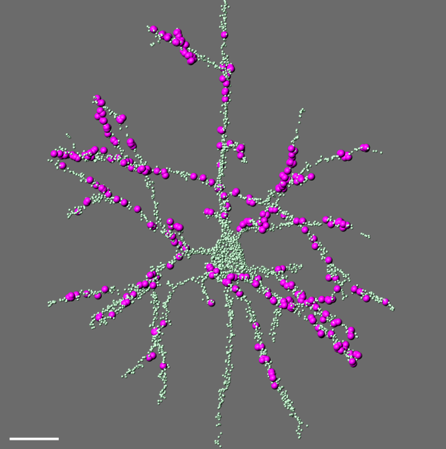 Alison Barth research image 4