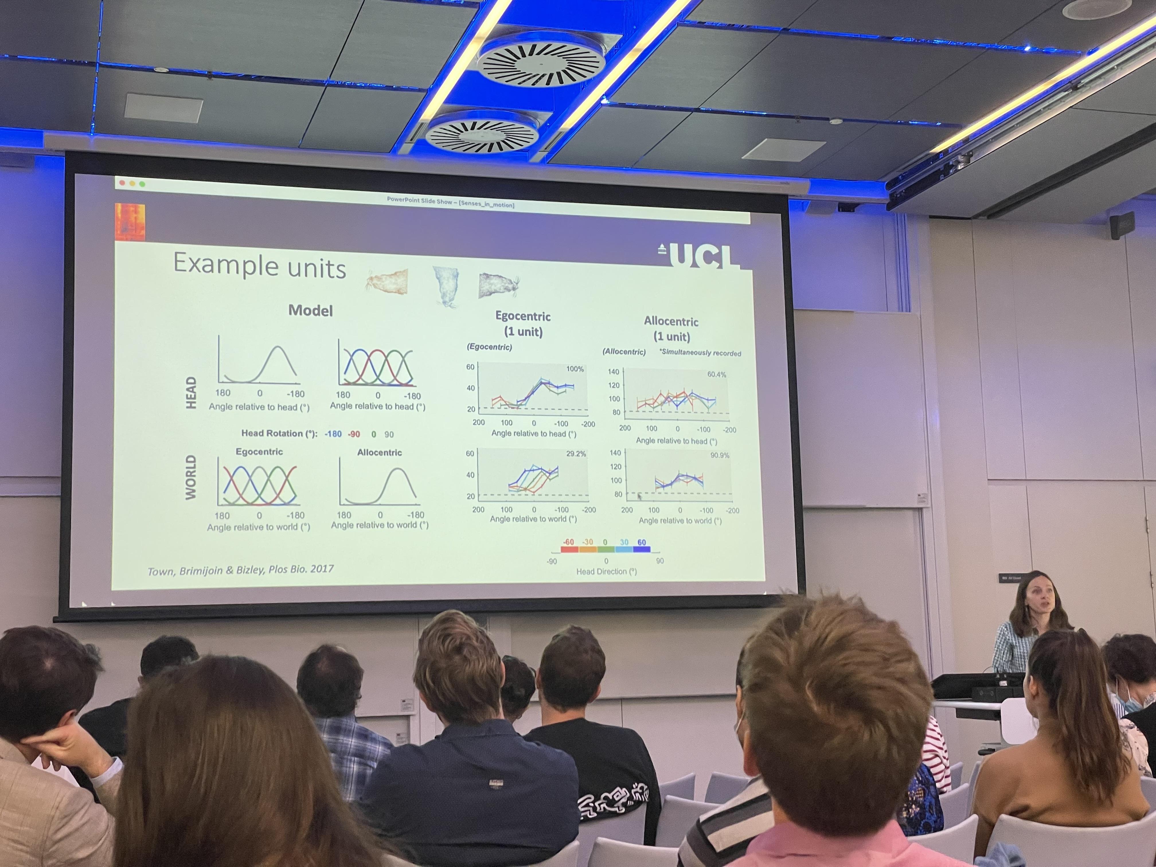 Senses in Motion Jennifer Bizley