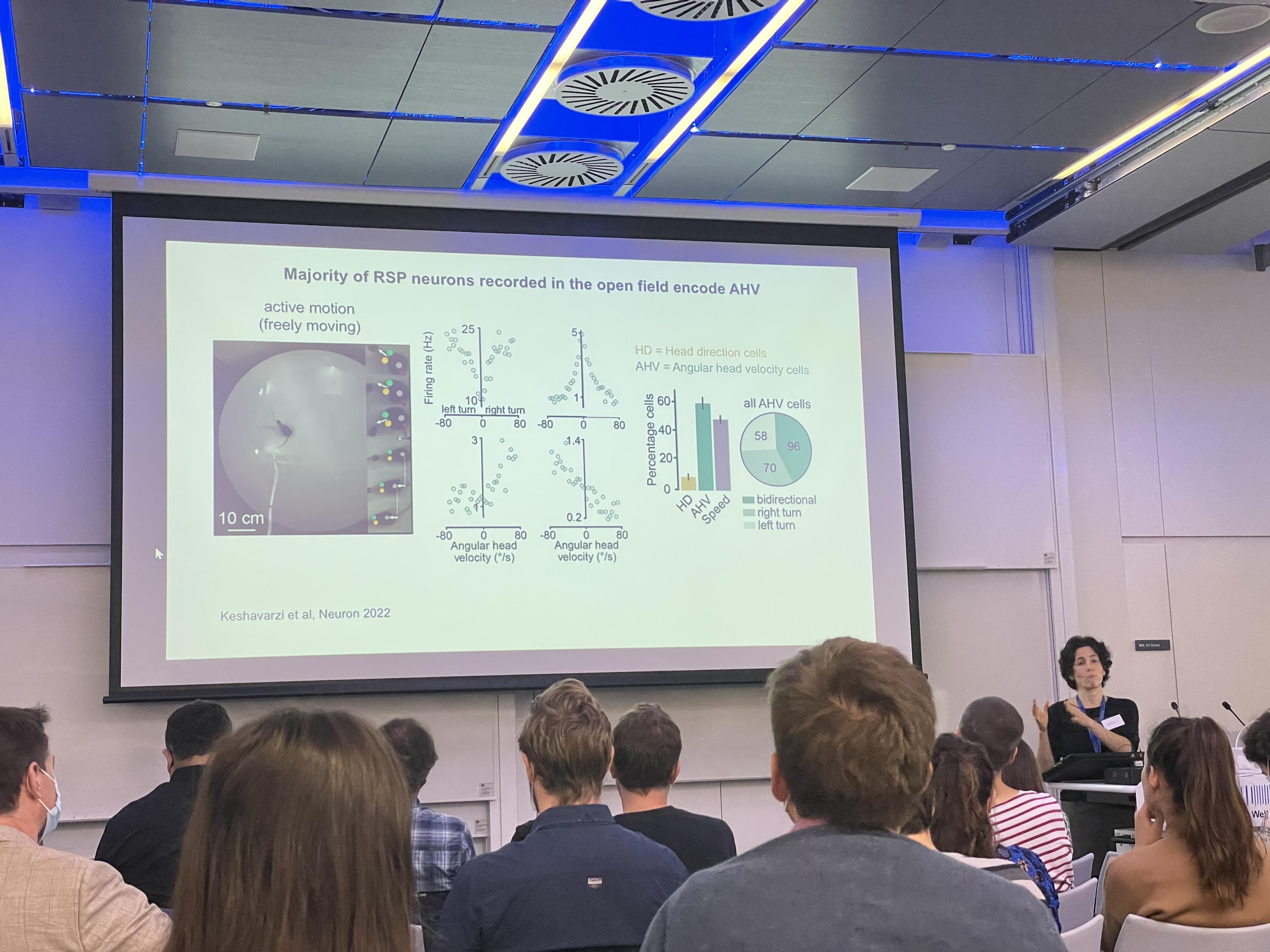 Senses in Motion Sepi