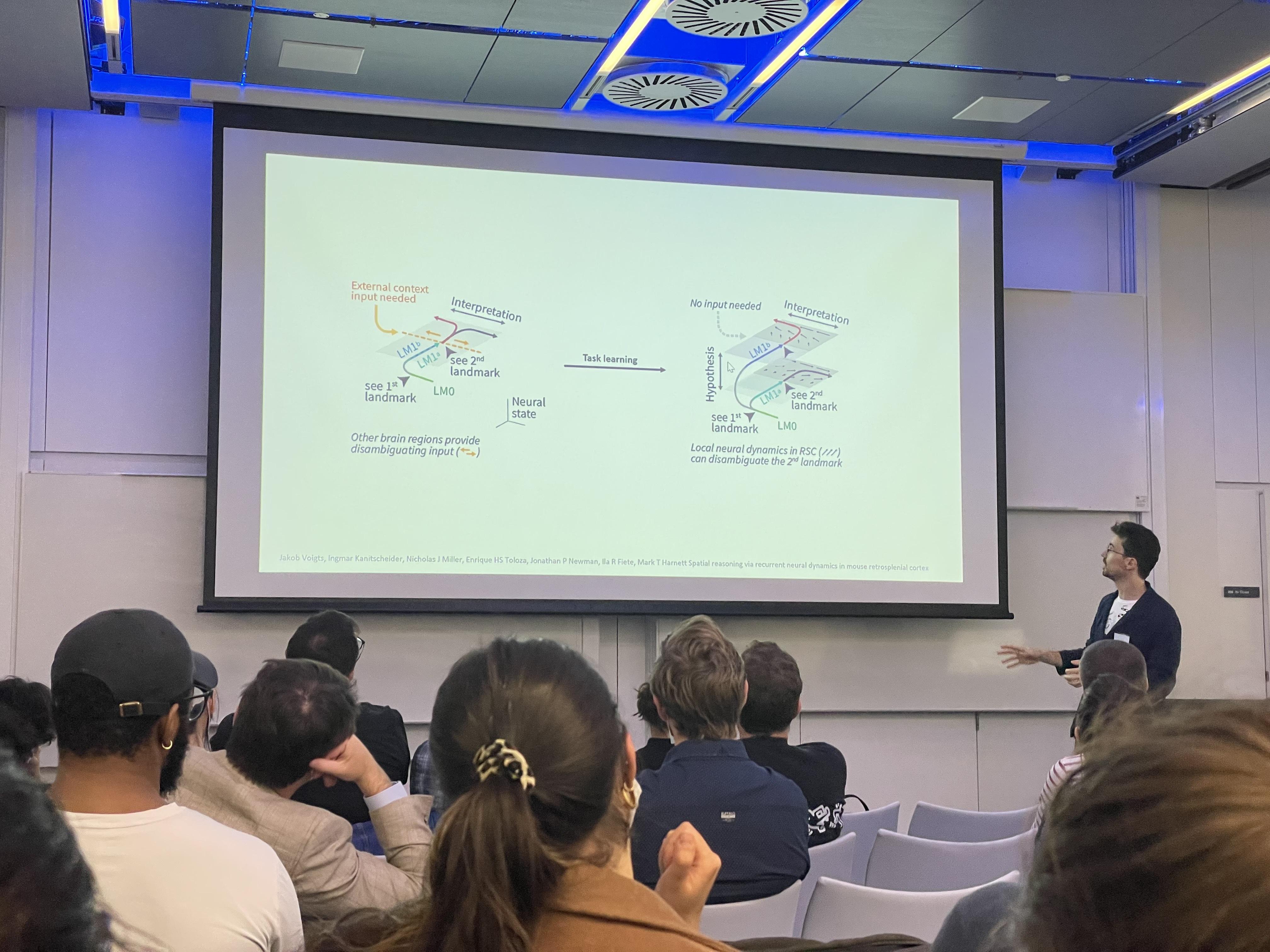 Senses in Motion Jakob Voigts