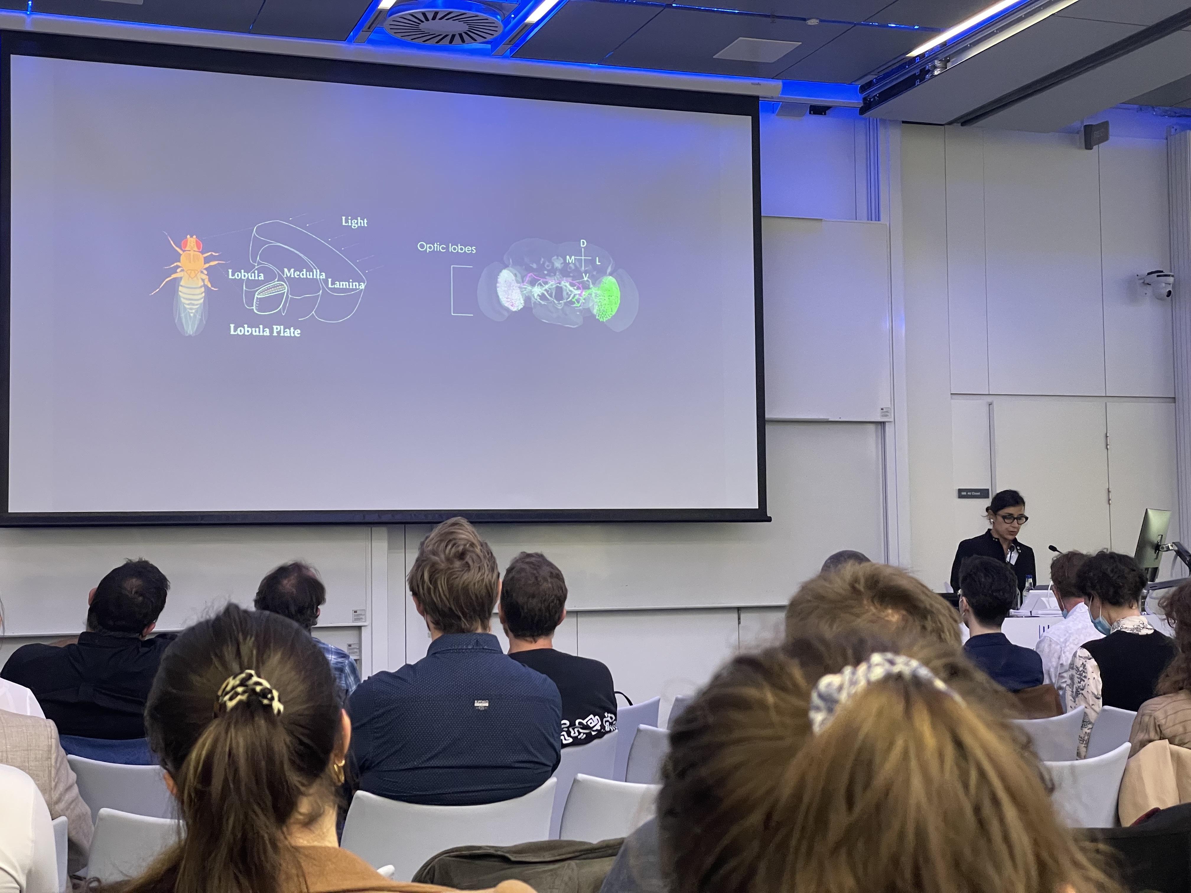 Senses in Motion Eugenia Chiappe