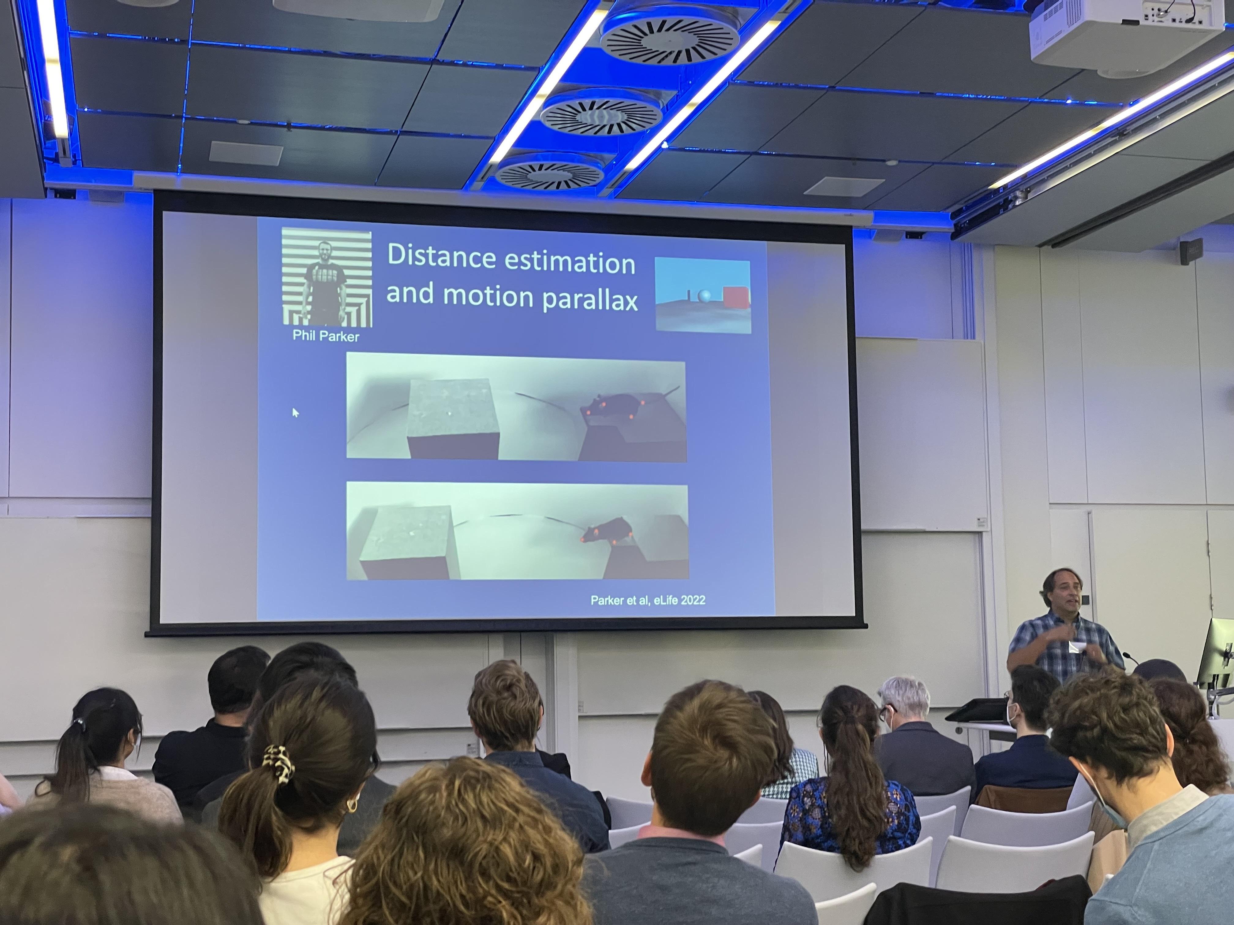 Senses in Motion Cris Neill