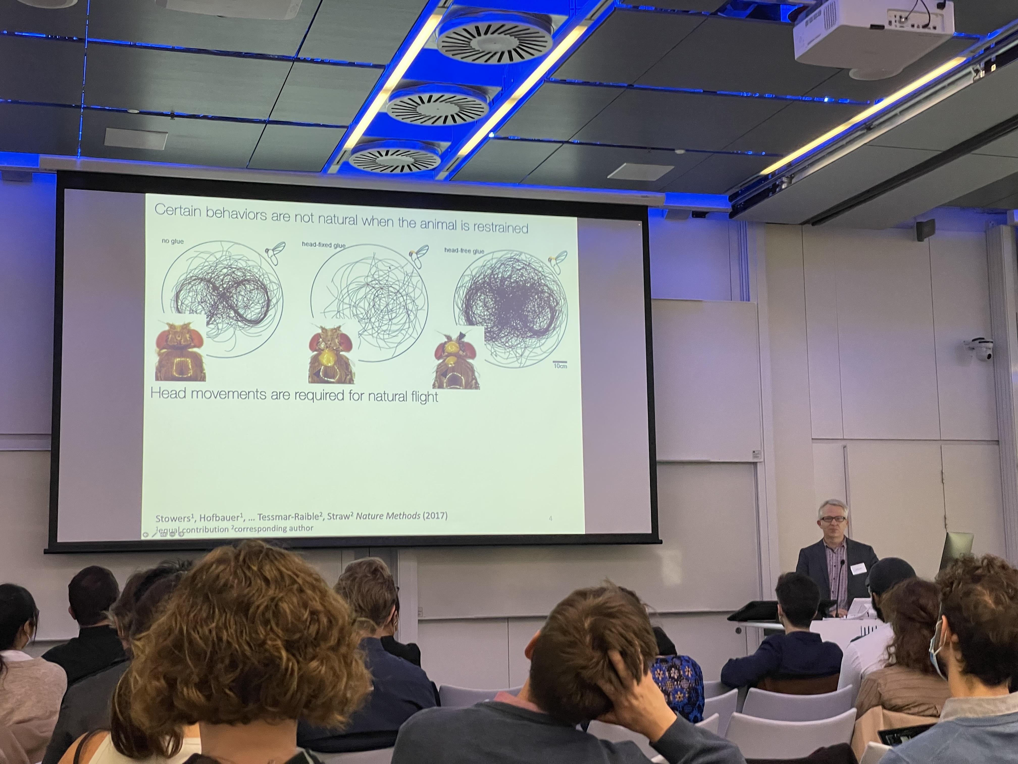 Senses in Motion Andrew Straw