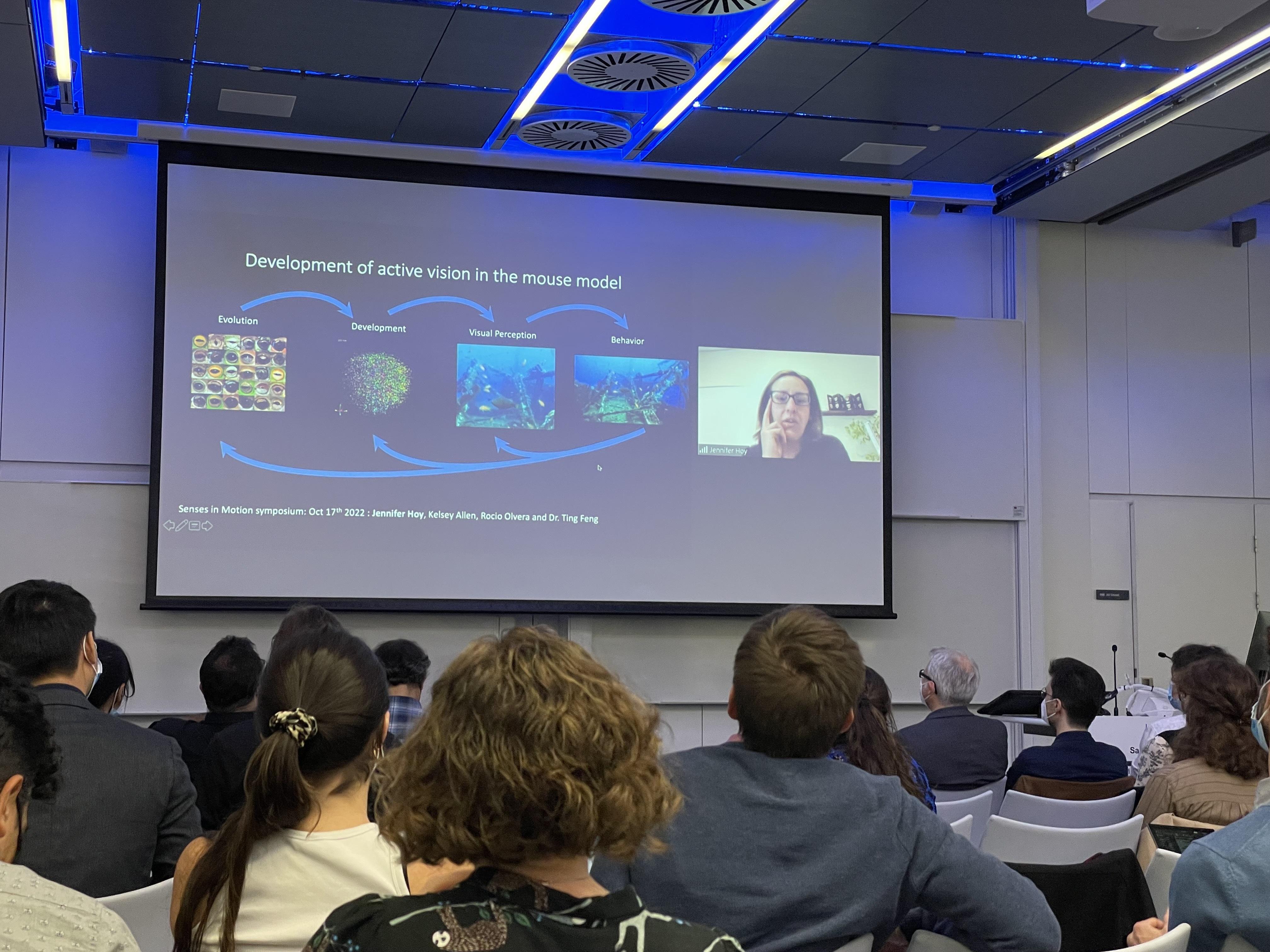 Senses in Motion Jennifer Hoy