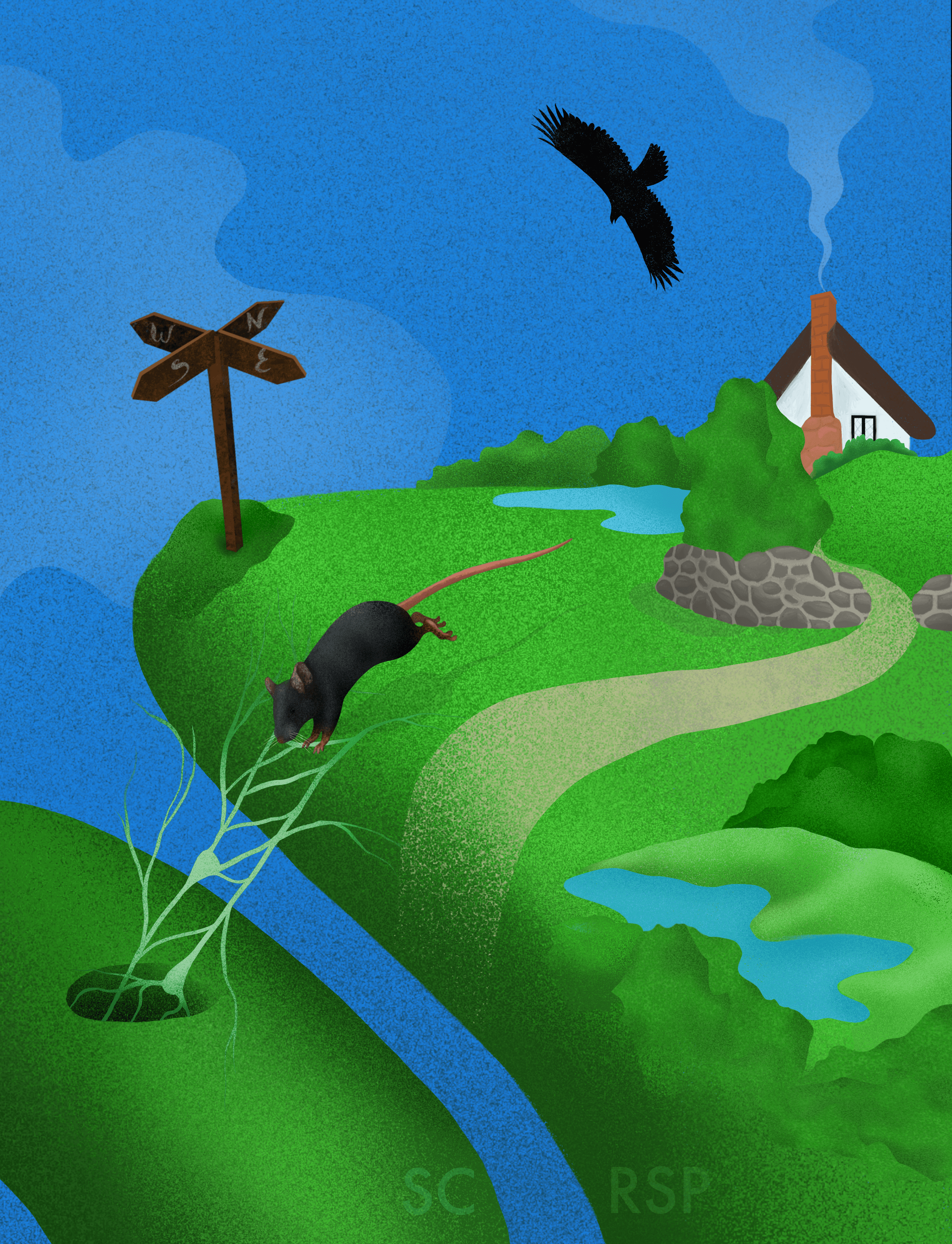 Julia Kuhl Branco lab paper 2022