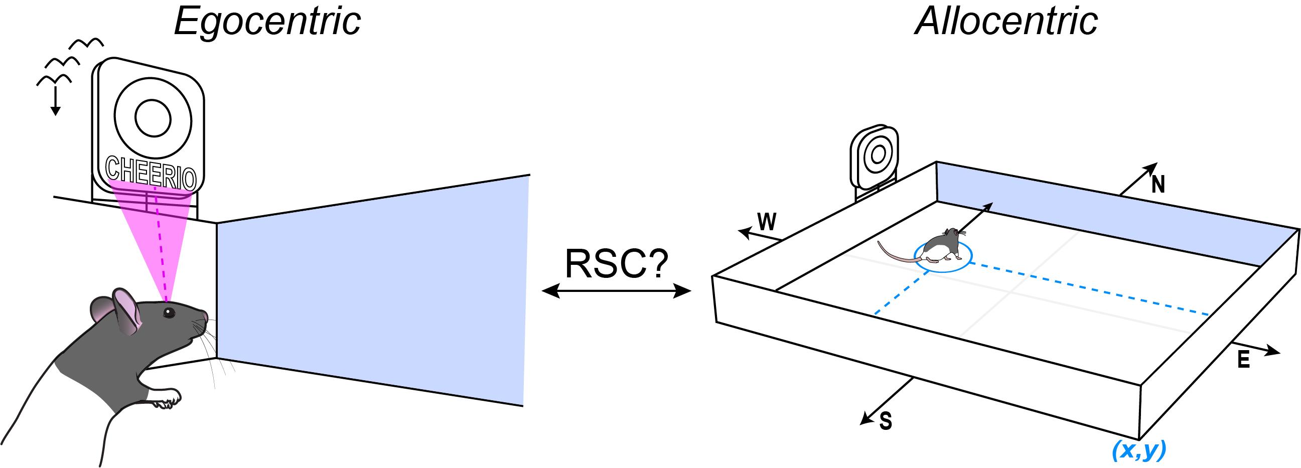 Andy Alexander research image 1 high res